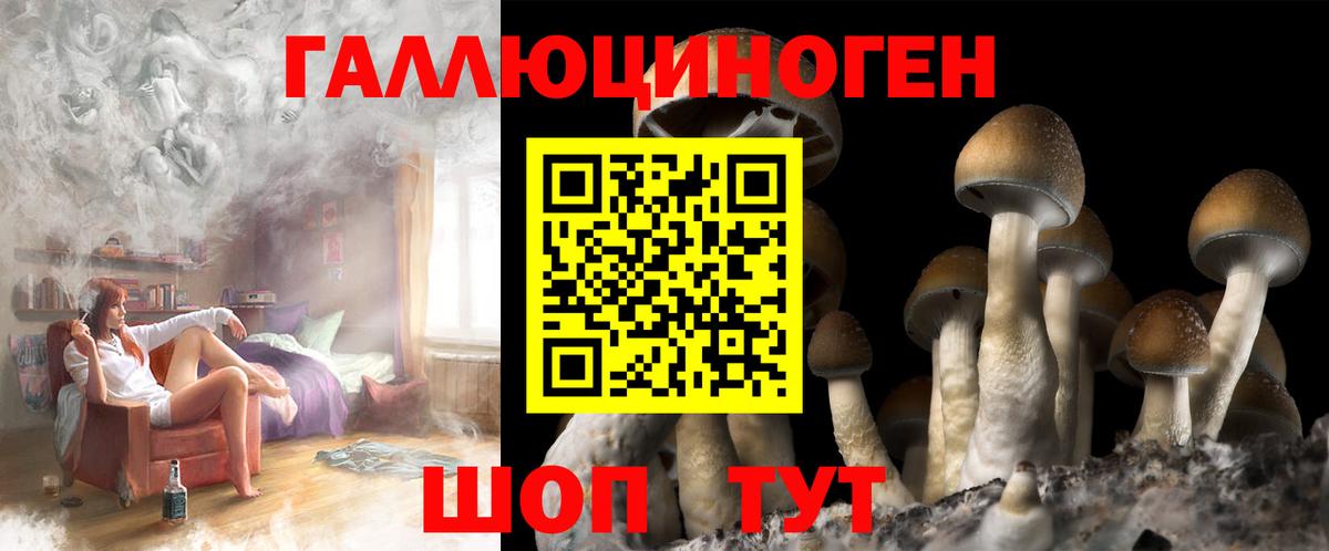 Псилоцибиновые грибы мухоморы Бахчисарай